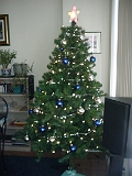 Christmas Tree 2000 2